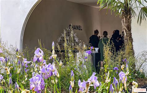 expo chanel jardin des plantes|Jardins, Jardin 2024 : le jardin griffé CHANEL dans le parc de la .